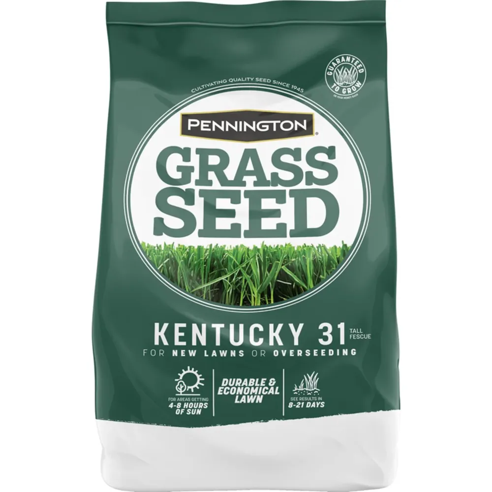 Semillas de césped para sol o sombra de césped alto Pennington Kentucky 31, 5 lb