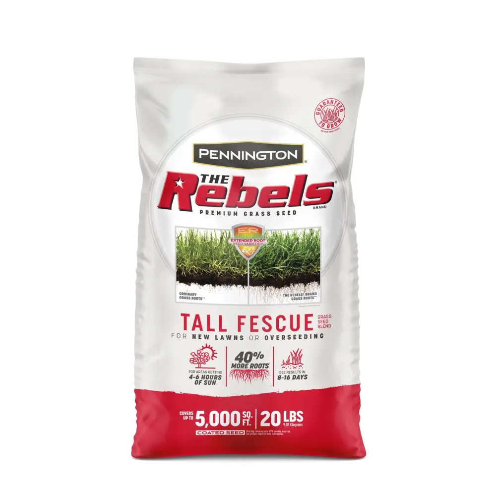 Semillas de césped para sol o sombra de pasto alto Rebels de Pennington, 20 lb