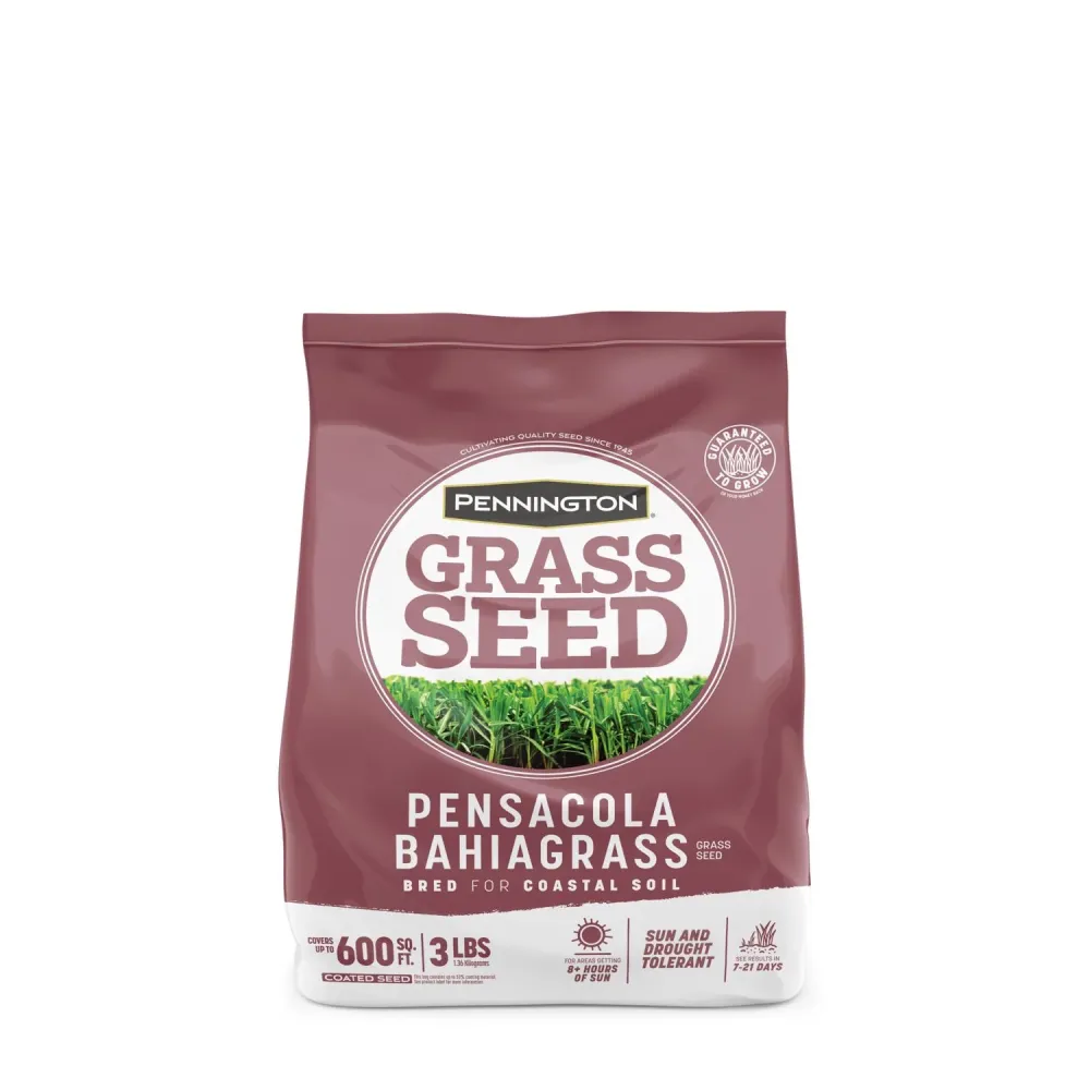 Semillas de césped Pennington Pensacola Bahiagrass para pleno sol, 3 lb