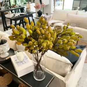 Profesional para Jardín VARA SEMILLA VERDE