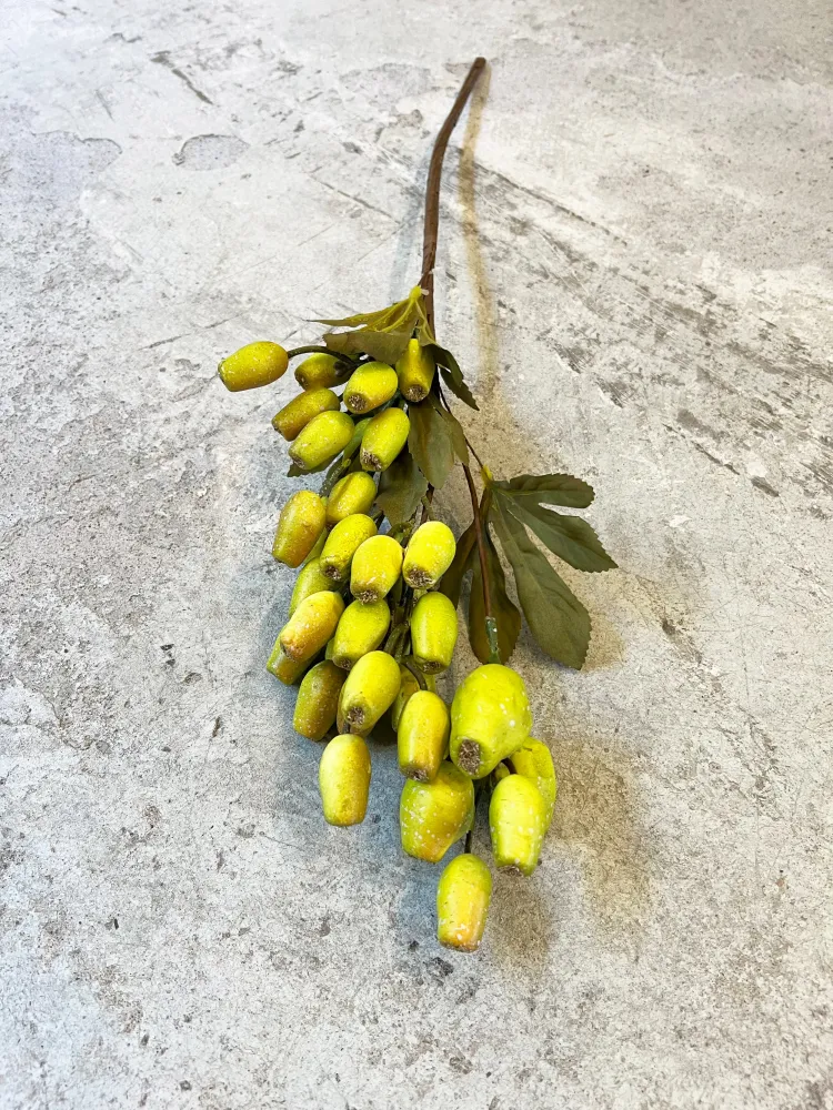 Profesional para Jardín VARA SEMILLA VERDE