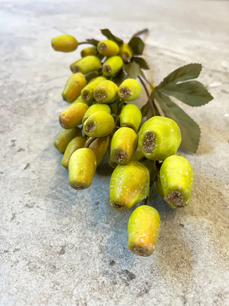 Profesional para Jardín VARA SEMILLA VERDE