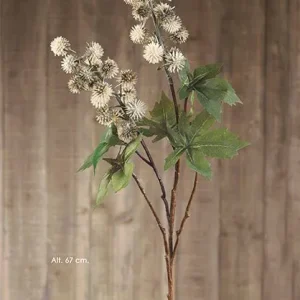 Rama mini Echinops
