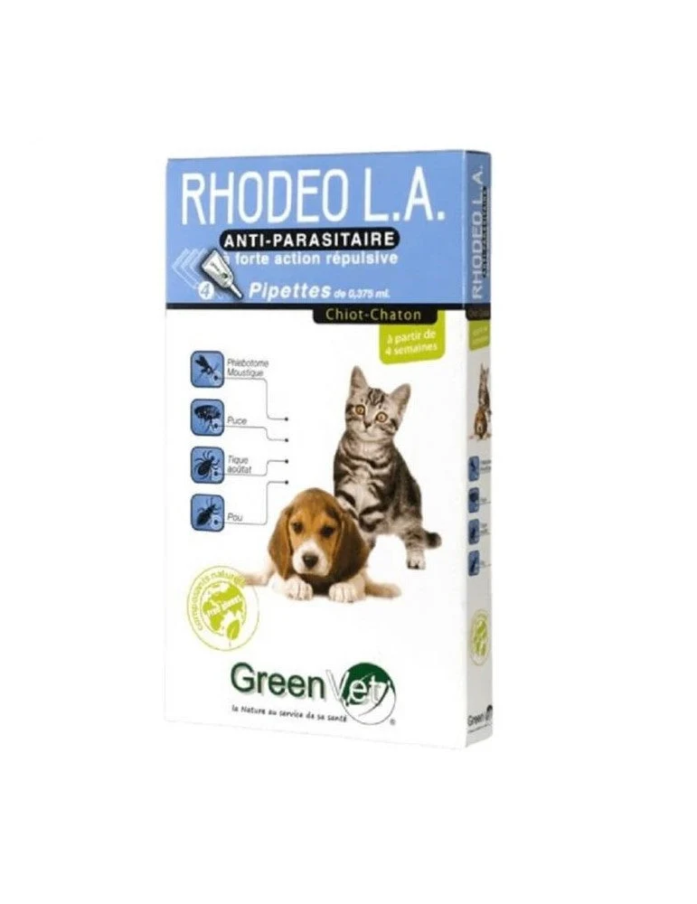 Rhodeo l. Chiot Chaton con Garantí de 2 ños