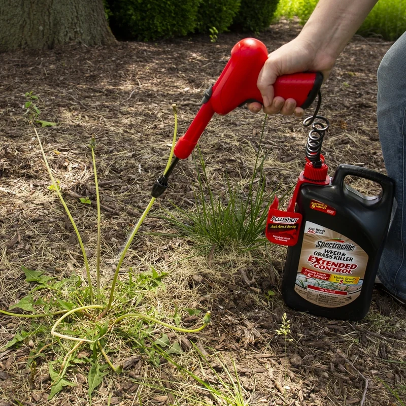 Herbicida y eliminador de césped con control extendido, pulverizador eléctrico AccuShot de 1.33 galones Spectracide