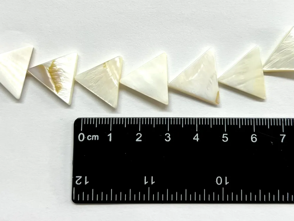 Triángulo, Caracol, Agua Dulce, Beads con 5 Boquillas