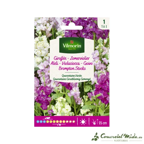 VILMORIN Semillas Aleli Cuarenteno Variado con Certificación IP65