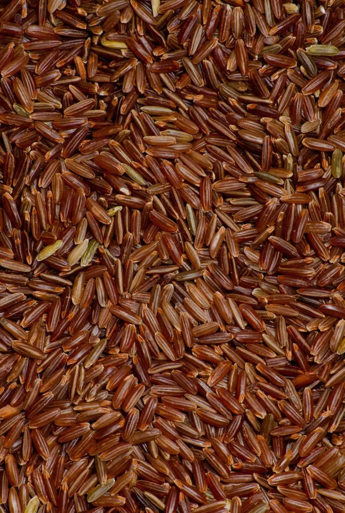 Accesorio Arroz rojo ECO