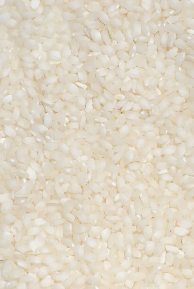 Arroz bomba Delta de l'Ebre Fácil de Limpiar