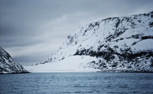 Carbón Noma: Time and Place Nordic Cuisine (Inglés)