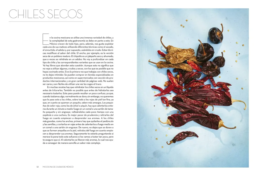 Mi cocina de Ciudad de México: Recetas y convicciones Gas Propano