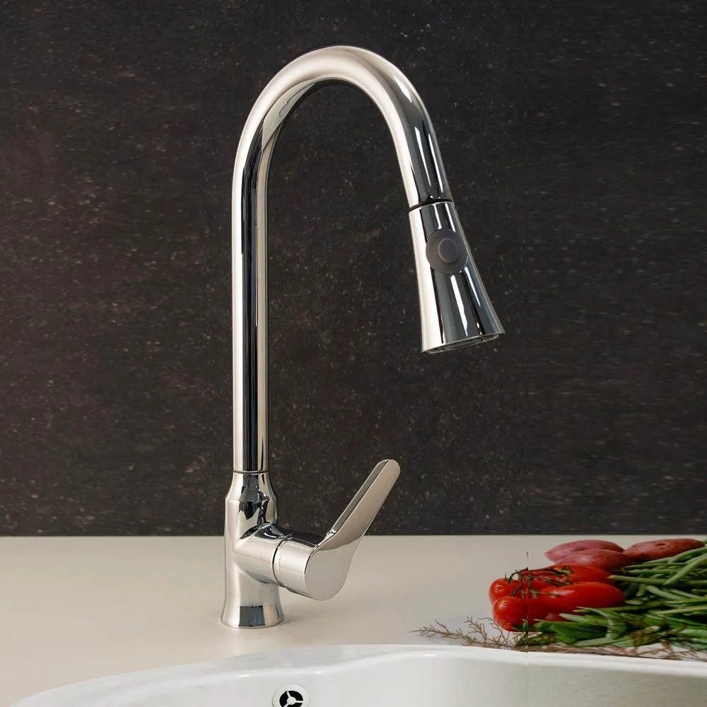 Grifo de Cocina Largo Extensible