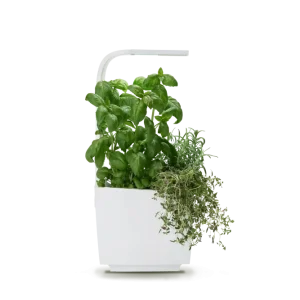 Jardinera inteligente de cocina de Tregren - T3 Kitchen Garden Fácil de Limpiar