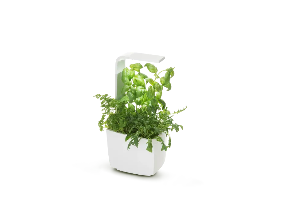 Jardinera inteligente de cocina de Tregren - T3 Kitchen Garden Fácil de Limpiar