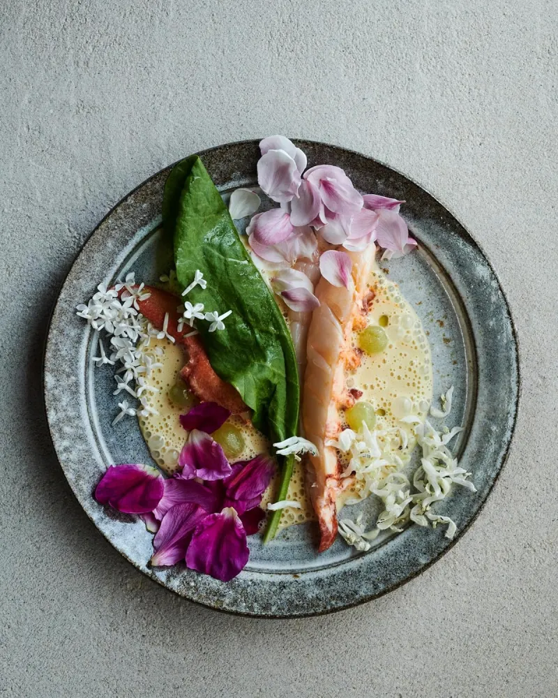 Noma 2. 0: Vegetable, Forest, Ocean (en Inglés) con Pinzas y Espátula