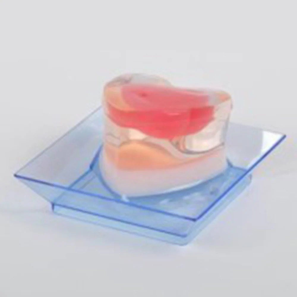 Plato Portátil Cuadrado 2.5" con Garantí