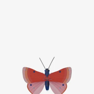 speckled cobre butterfly para Fiestas