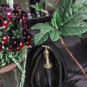 Manguera De Riego Refinado - Negro, 50 M, Tejido, Látex, Se Expande Con El Agua. para Jardines Grandes