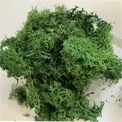 Musgo polar bolsa 60gr verde sombrío