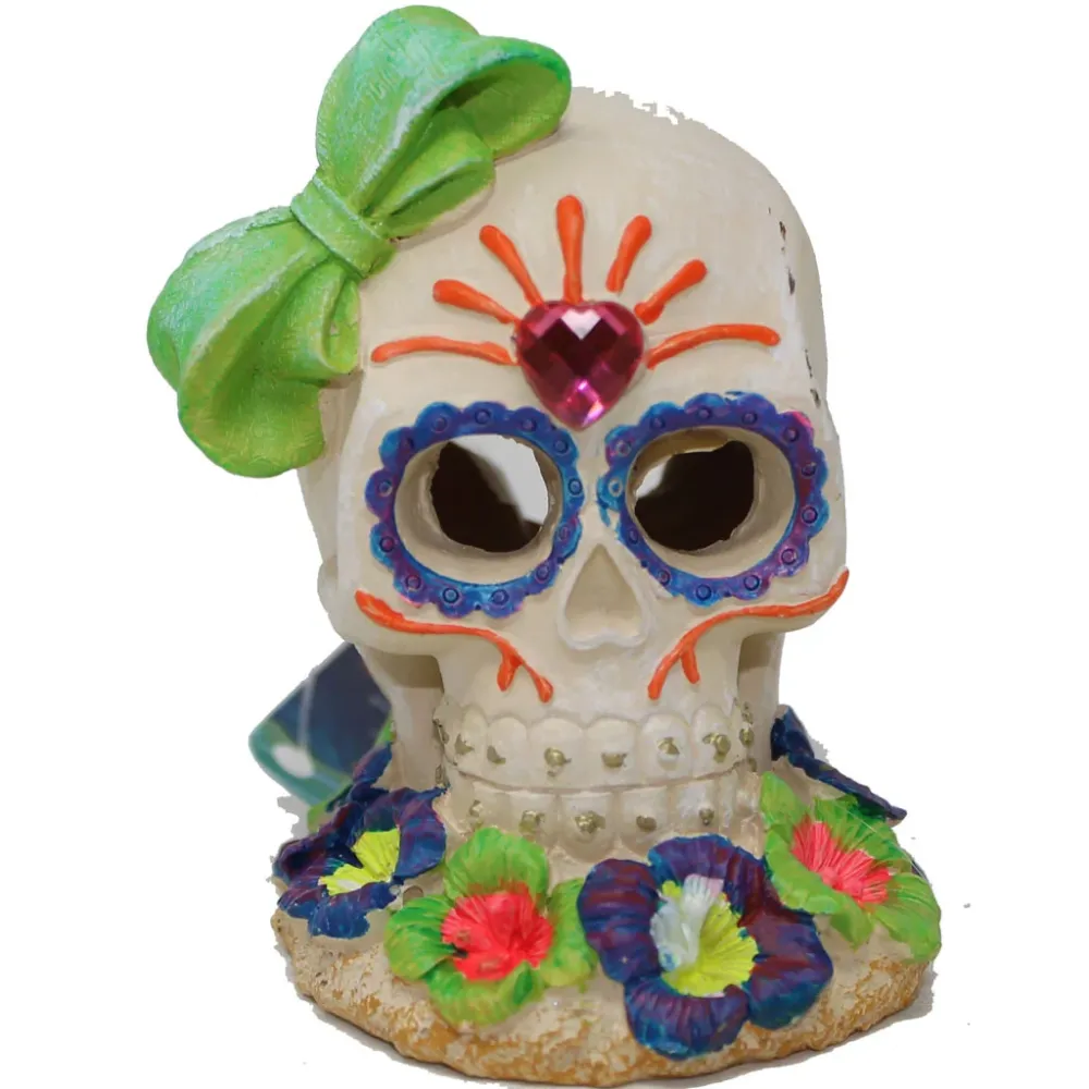 Calavera de azúcar en entornos exóticos Exotic Environments