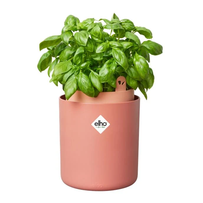 Kit de Propagación Maceta autoriego aromáticas Bouncy Basil Elho Terra