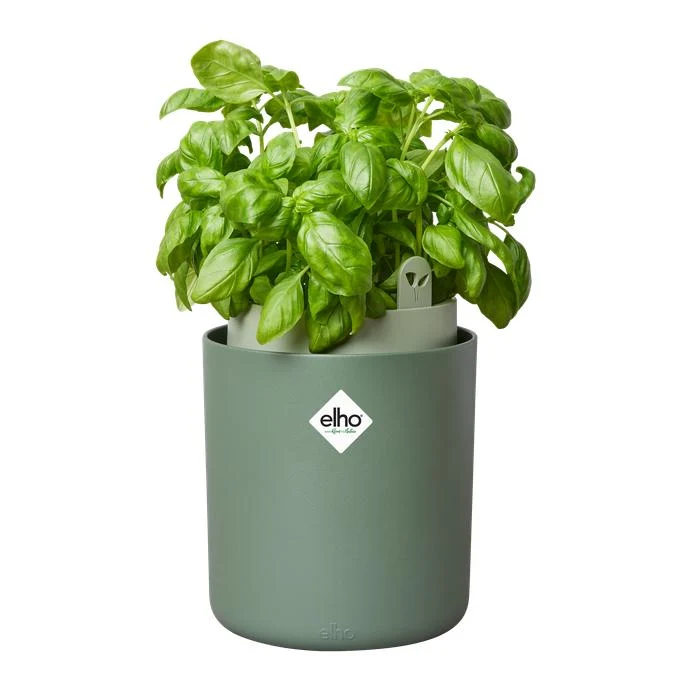 Maceta autoriego aromáticas Bouncy Basil Elho Verde de Bajo Consumo