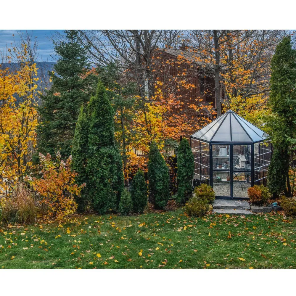 Invernadero hexagonal Oasis 247x213x267 cm para Jardín en Balcón