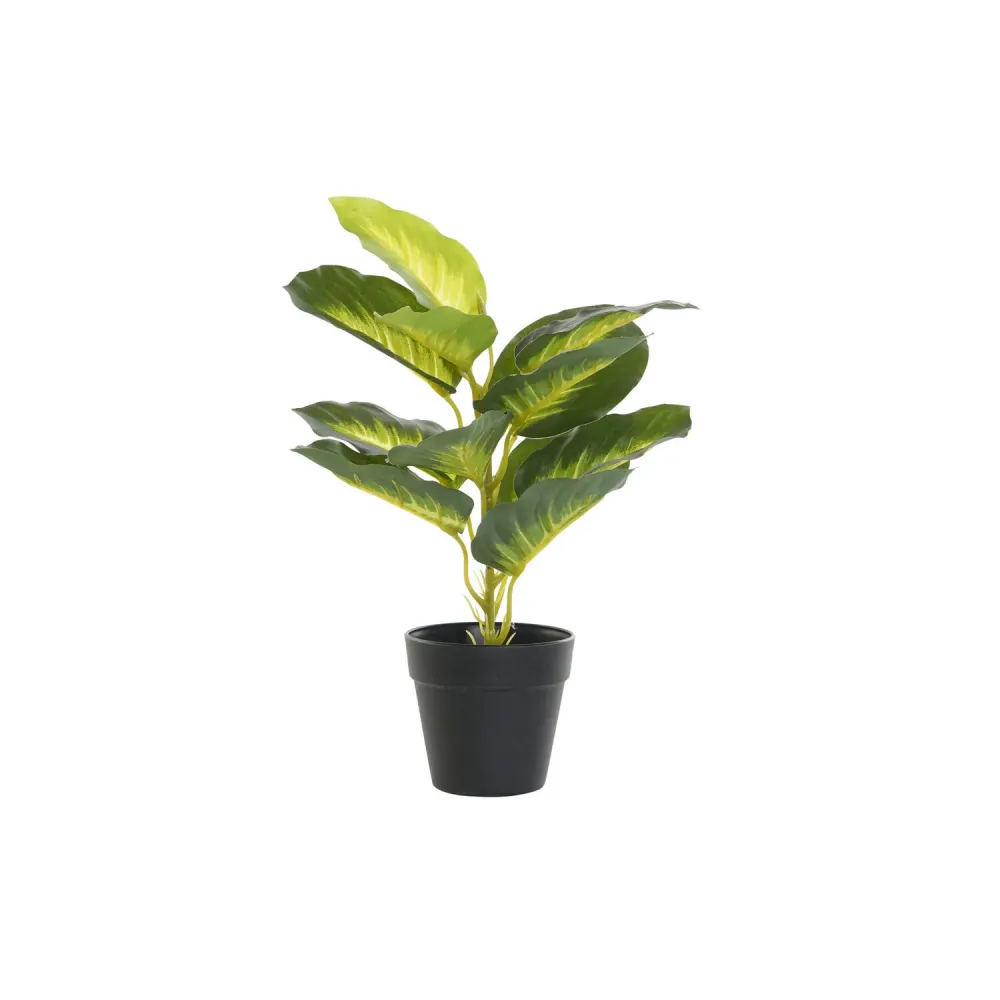 Profesional Impermeable PLANTA PVC PP 25X25X30 DIEFEMBAQUIA VERDE