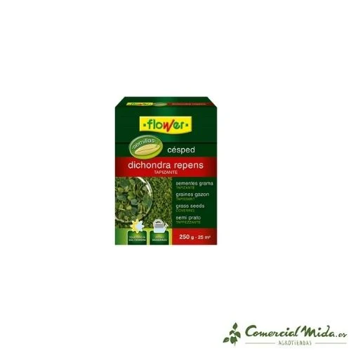 Abono Líquido para Semillas de DICHONDRA REPENS Tapizante