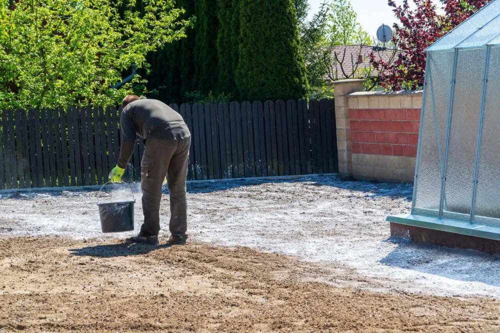 Mezcla Cal Dolomita + Yeso + Basalto | Revitalizador Suelos X3 Silicio para Plantas de Interior