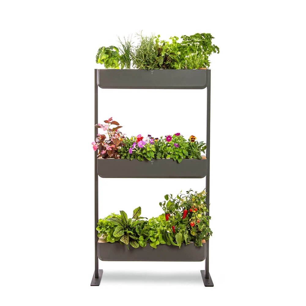 Alta Capacidad para Fiestas Potager Gourmet Extérieur 3 Bacs et 18 Lingots OFFERTS - VERITABLE