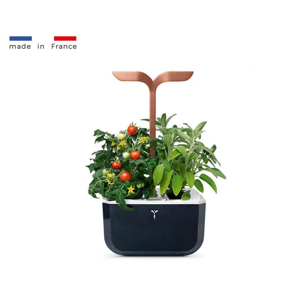 Potager d'intérieur Exky Con app Cuivre avec 2 lingots OFFERTS - VERITABLE