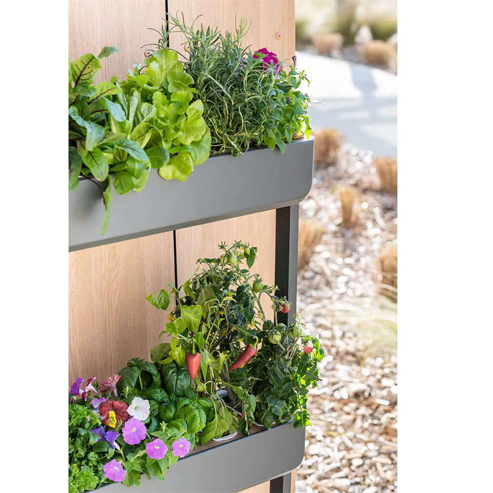 Potager Gourmet Extérieur 2 Bacs et 12 Lingots OFFERTS - VERITABLE