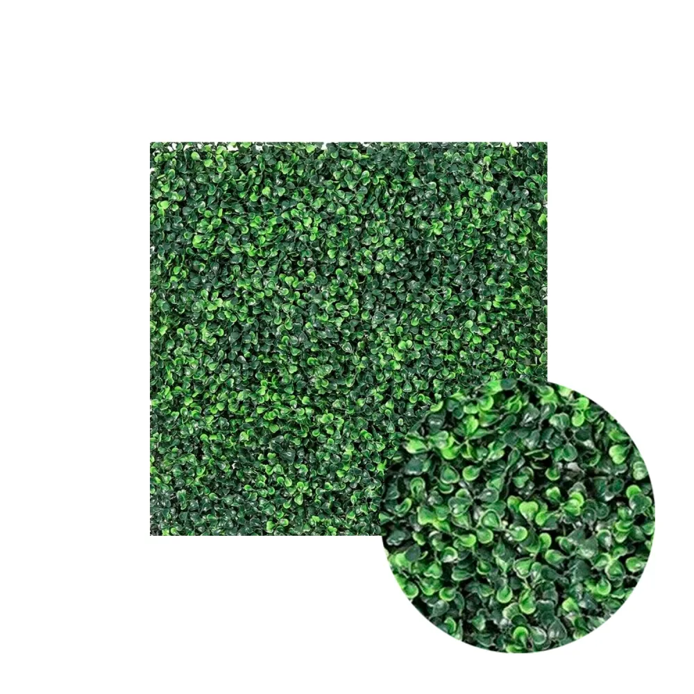 Tapete Buxus 50X50 RC008 con Protección UV y Antilluvia