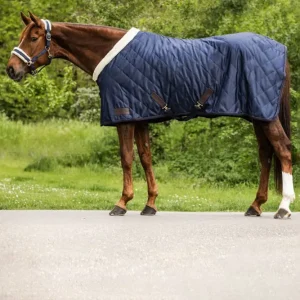 Privilegiado Manta de viaje, 50g nightblue 145