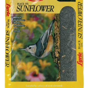 Alimento para aves silvestres Lyric de especies variadas con aceite negro y semillas de girasol, 10 lb.