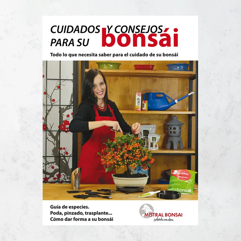 Guí cuidados y consejos bonsái Hecho Mano