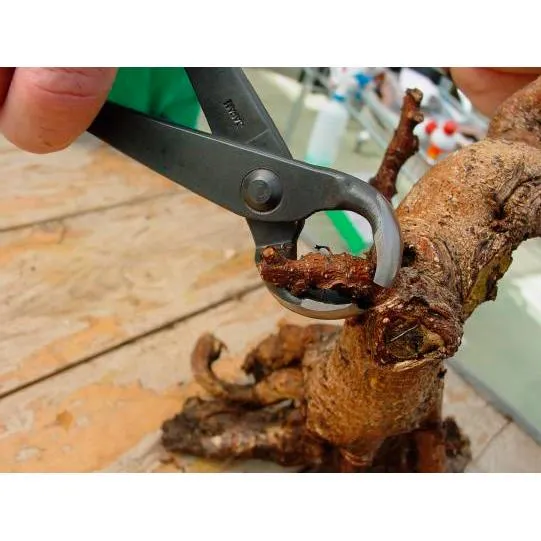 Vaciadora cóncava 170 mm para Huertos Urbanos