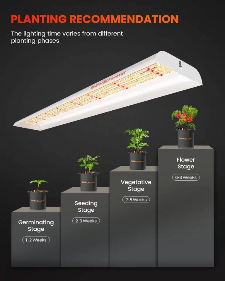 Cámara de Cultivo Spider Farmer | SF600 Grow Light – 74 W, vegetación indoor