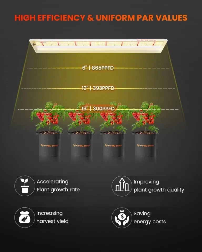Cámara de Cultivo Spider Farmer | SF600 Grow Light – 74 W, vegetación indoor