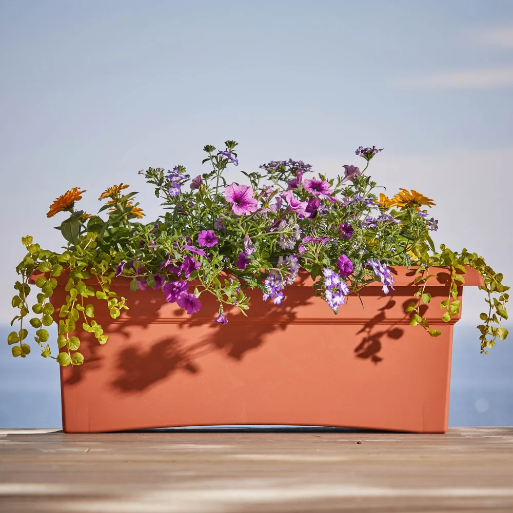 Jardinera rectangular de resina de arcilla terracota Bloem para veranda, 10 pulgadas de alto x 12 pulgadas de ancho x 26,3...