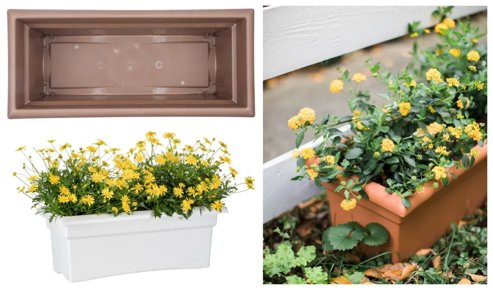 Jardinera rectangular de resina de arcilla terracota Bloem para veranda, 10 pulgadas de alto x 12 pulgadas de ancho x 26,3...