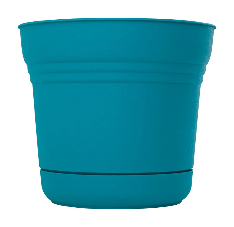 Maceta Calypso de resina Bloem de 11,4 cm de alto x 12,7 cm de diámetro (paquete de 12) - Oferta de la semana