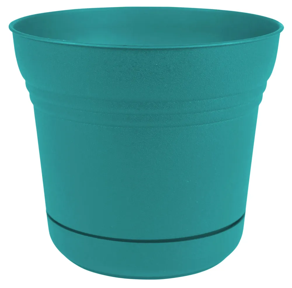 Maceta Calypso de resina Bloem de 11,4 cm de alto x 12,7 cm de diámetro (paquete de 12) - Oferta de la semana