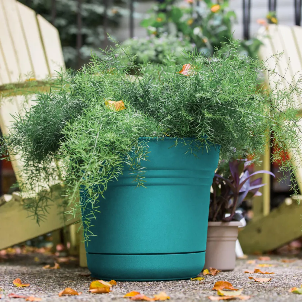 Maceta Calypso de resina Bloem de 11,4 cm de alto x 12,7 cm de diámetro (paquete de 12) - Oferta de la semana