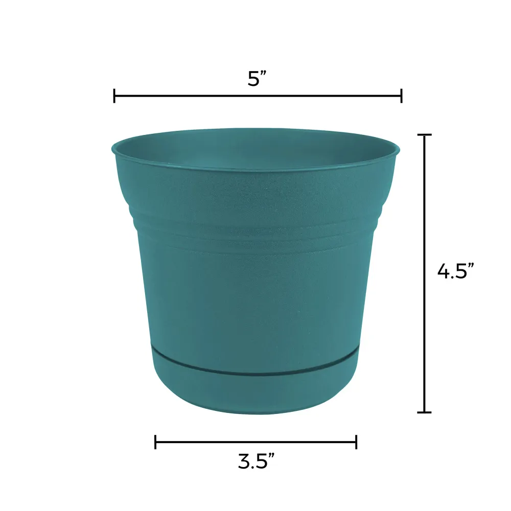 Maceta Calypso de resina Bloem de 11,4 cm de alto x 12,7 cm de diámetro (paquete de 12) - Oferta de la semana