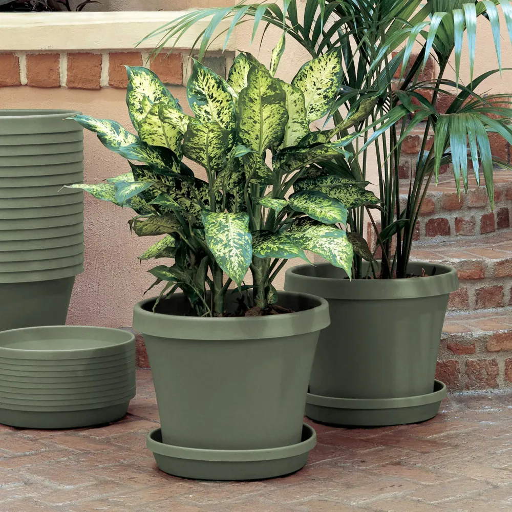 Maceta Terra de 10" Living Green de Bloem Llc 50410