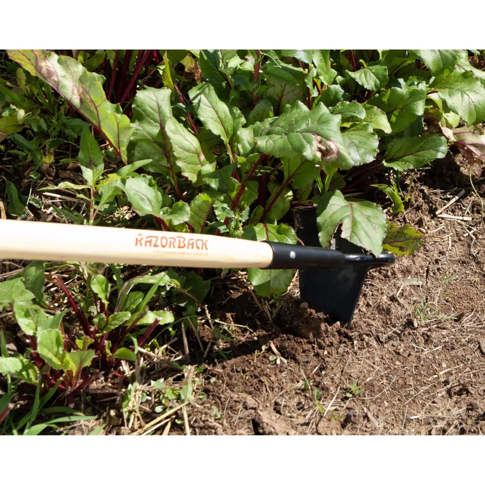 Azada de acero para remolacha y vivero con mango de madera de 54 pulgadas Razor-Back