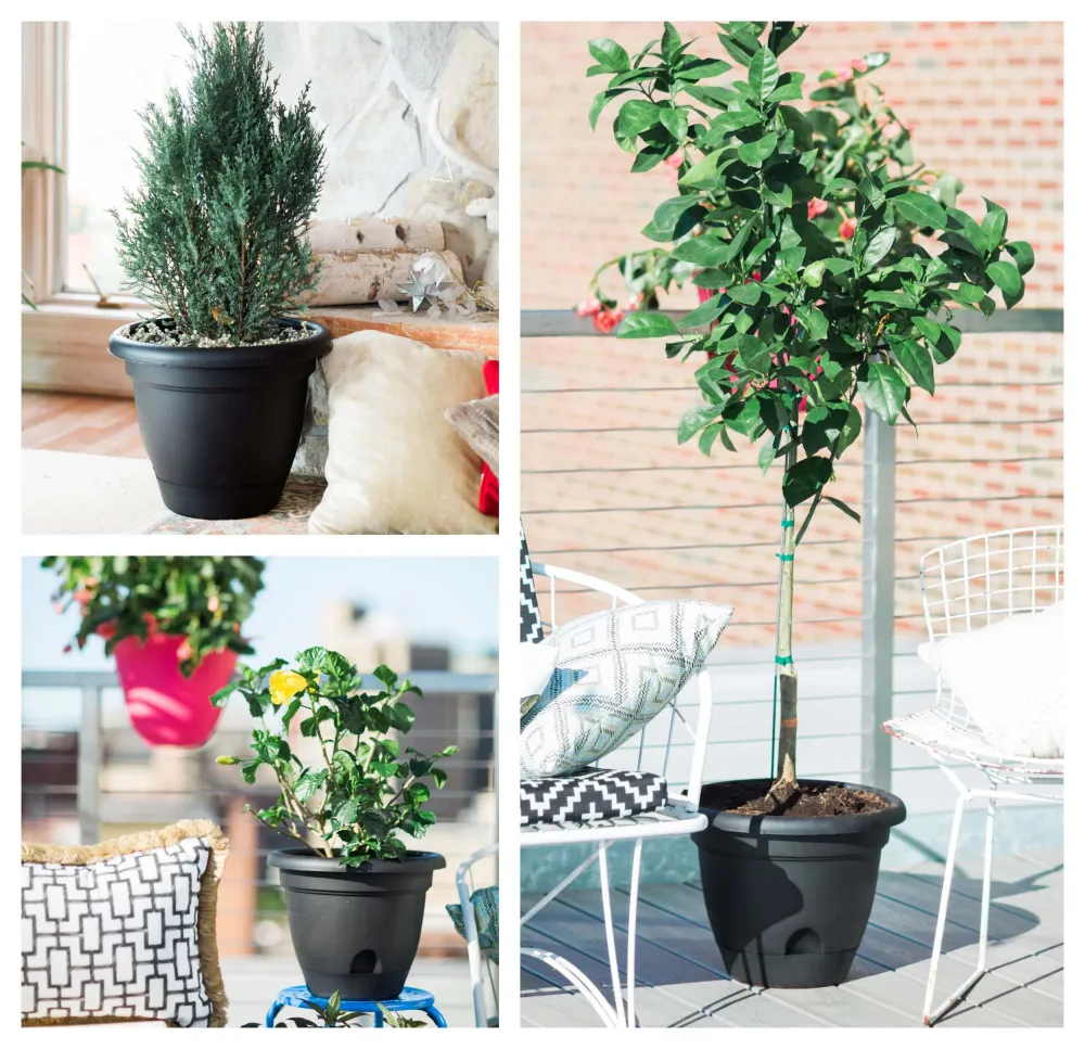 Jardinera de plástico con autorriego Bloem Lucca Pebble Stone de 10 pulgadas Bloem Llc