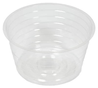 Recipiente de plástico transparente para plantas de 6 pulgadas de ancho con lazo azul para jardineros (paquete de 25) Gard...